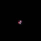 2009_Die Rote Zora-Video im Set – 15.JPG