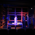 2016_Foxfinder (D.King) – 11.JPG