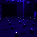 2023_ARRAY - 01.jpeg