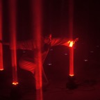 2023_ARRAY - 13.jpeg